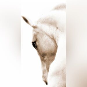 Please Read my chart😊